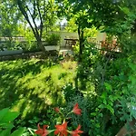 Tinka * Starigrad Paklenica