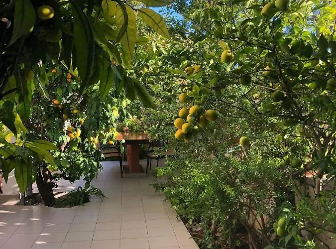 Tinka Starigrad Paklenica