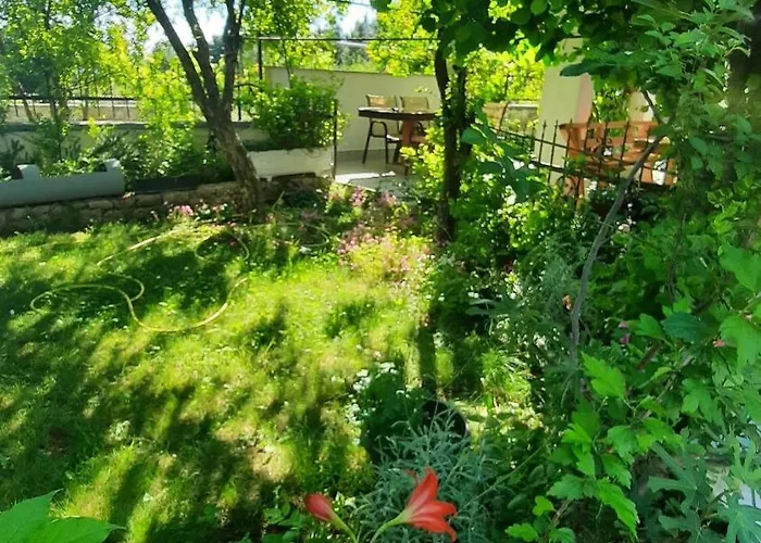 Tinka * Starigrad Paklenica